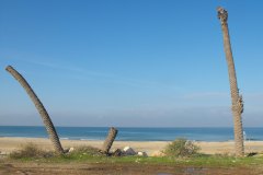 dado-beach-haifa-lihi-laszlo-2011-10