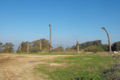 dado-beach-haifa-lihi-laszlo-2011-16