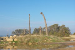 dado-beach-haifa-lihi-laszlo-2011-17