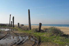 dado-beach-haifa-lihi-laszlo-2011-7