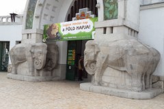 Budapest-Zoo-Lihi-Laszlo-2014