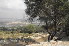 Canada-Park-Looking-over-Ayalon-Valley-Lihi-Laszlo-December-2011_2