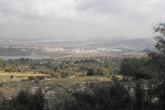 Canada-Park-Looking-over-Ayalon-Valley-Lihi-Laszlo-December-2011_3