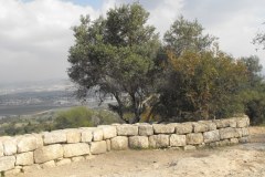 Canada-Park-Looking-over-Ayalon-Valley-Lihi-Laszlo-December-2011_4