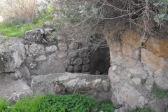 Latrun-Lihi-Laszlo-December-2011_11