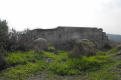 Latrun-Lihi-Laszlo-December-2011_13