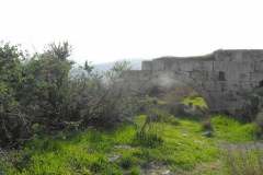 Latrun-Lihi-Laszlo-December-2011_15