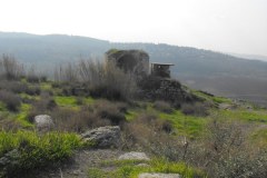 Latrun-Lihi-Laszlo-December-2011_18