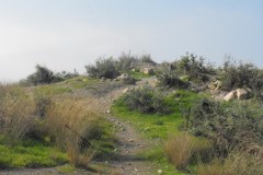 Latrun-Lihi-Laszlo-December-2011_2