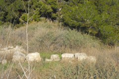 Latrun-Lihi-Laszlo-December-2011_20