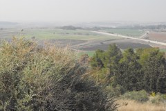 Latrun-Lihi-Laszlo-December-2011_21