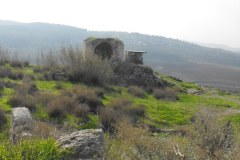 Latrun-Lihi-Laszlo-December-2011_24