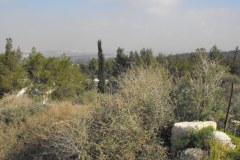 Latrun-Lihi-Laszlo-December-2011_26