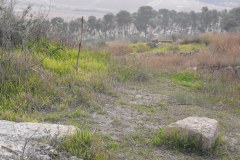 Latrun-Lihi-Laszlo-December-2011_29