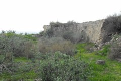 Latrun-Lihi-Laszlo-December-2011_33