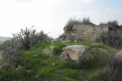 Latrun-Lihi-Laszlo-December-2011_34