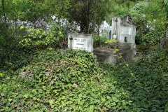 Budapest-Cemetery-Lihi-Laszlo-2014_29