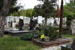 Budapest-Cemetery-Lihi-Laszlo-2014_42