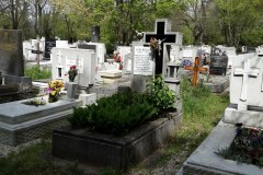 Budapest-Cemetery-Lihi-Laszlo-2014_7