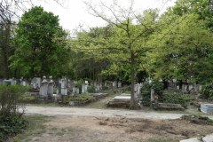 Budapest-Cemetery-Lihi-Laszlo-2014_70