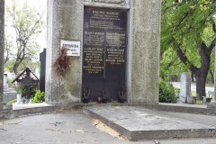 Budapest-Cemetery-Lihi-Laszlo-2014_96