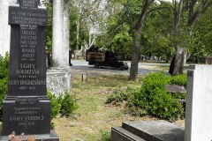 Budapest-Cemetery-Lihi-Laszlo-2014_97