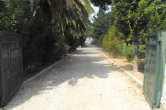 The-Templars-Cemetery-Haifa-Israel-Lihi-Laszlo-September-2011_14