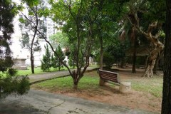 Hong-Kong-Happy-Valley-Jewish-Cemetery-Lihi-Laszlo-Sep-2018_19