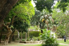 Hong-Kong-Happy-Valley-Jewish-Cemetery-Lihi-Laszlo-Sep-2018_20