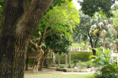 Hong-Kong-Happy-Valley-Jewish-Cemetery-Lihi-Laszlo-Sep-2018_21