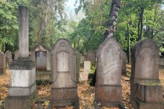 Jewish-cemetery-Bocklemund-Cologne-Lihi-Laszlo-Sep-2022_10