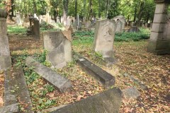 Jewish-cemetery-Bocklemund-Cologne-Lihi-Laszlo-Sep-2022_21