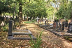 Jewish-cemetery-Bocklemund-Cologne-Lihi-Laszlo-Sep-2022_52