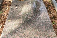 Jewish-cemetery-Bocklemund-Cologne-Lihi-Laszlo-Sep-2022_56-rotated