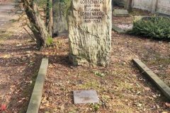 Jewish-cemetery-Bocklemund-Cologne-Lihi-Laszlo-Sep-2022_76-rotated