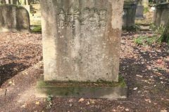 Jewish-cemetery-Bocklemund-Cologne-Lihi-Laszlo-Sep-2022_78-rotated