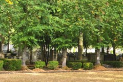 Jewish-cemetery-Bocklemund-Cologne-Lihi-Laszlo-Sep-2022_8