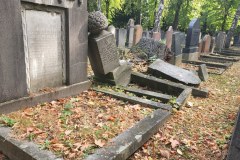 Jewish-cemetery-Bocklemund-Cologne_-Lihi-Laszlo-Sep-2022_33