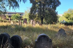 J-discher-Friedhof-Deutz-Lihi-Laszlo-Sep-2022-Jewish-Cemetery-Klen_15