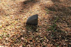 J-discher-Friedhof-Deutz-Lihi-Laszlo-Sep-2022-Jewish-Cemetery-Klen_47