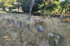 J-discher-Friedhof-Deutz-Lihi-Laszlo-Sep-2022-Jewish-Cemetery-Klen_8