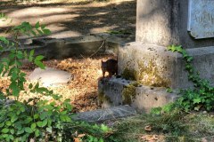 Melaten-Friedhof-Lihi-Laszlo-Sep-2022_51