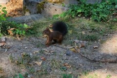 Melaten-Friedhof-Lihi-Laszlo-Sep-2022_53