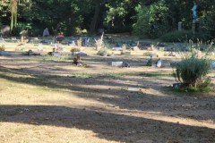 Melaten-Friedhof-Lihi-Laszlo-Sep-2022_68