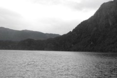 Bergen-Fjords-2010-Lihi-Laszlo_39