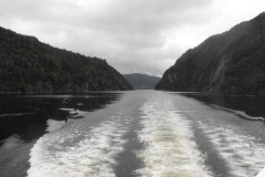 Bergen-Fjords-2010-Lihi-Laszlo_65