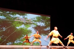 Monks-of-Shaolin-Lihi-Laszlo-February-2014_38