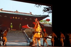 Monks-of-Shaolin-Lihi-Laszlo-February-2014_5