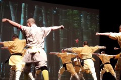 Monks-of-Shaolin-Lihi-Laszlo-February-2014_52