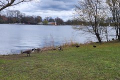 The-Nazi-party-rally-grounds-Nurnberg-Apr-2023-Lihi-Laszlo_61